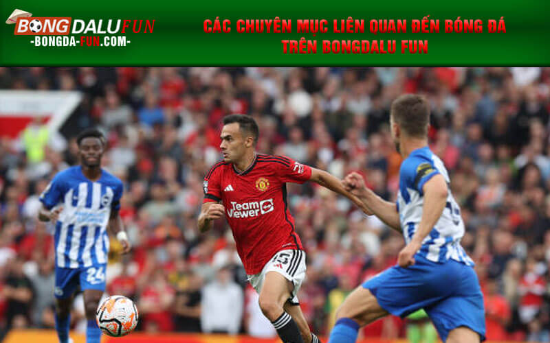 Các chuyên mục liên quan đến bóng đá trên Bongdalu Fun