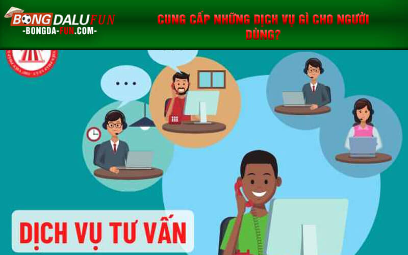 Cung cấp những dịch vụ gì cho người dùng?
