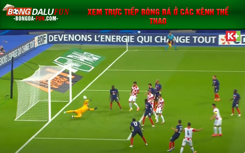 Xem trực tiếp bóng đá ở các kênh thể thao