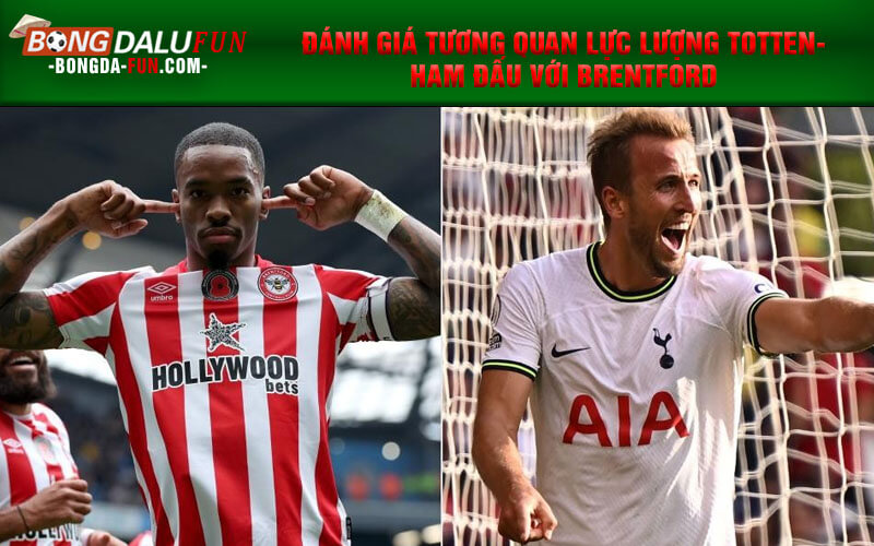 Đánh giá tương quan lực lượng Tottenham đấu với Brentford