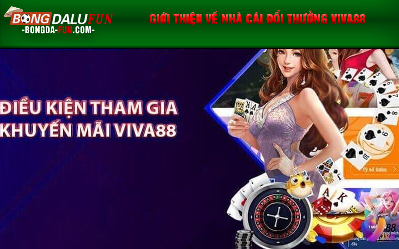 Giới thiệu về nhà cái đổi thưởng Viva88