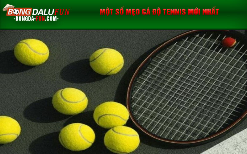 Một số mẹo cá độ tennis mới nhất