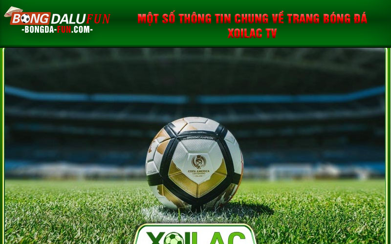 Một số thông tin chung về trang bóng đá Xoilac TV