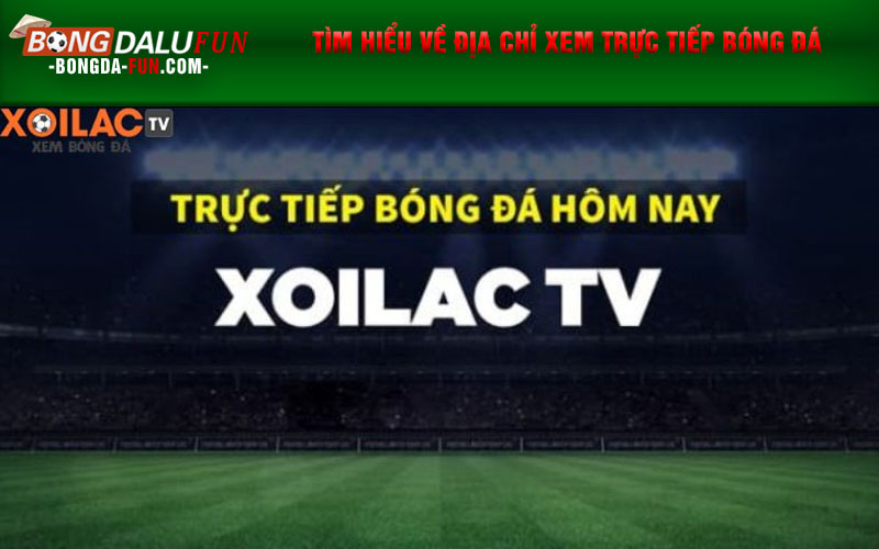 Tìm hiểu về địa chỉ xem trực tiếp bóng đá