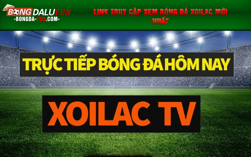 Xem trực tiếp bóng đá Xoilac là địa chỉ tốt nhất hiện nay