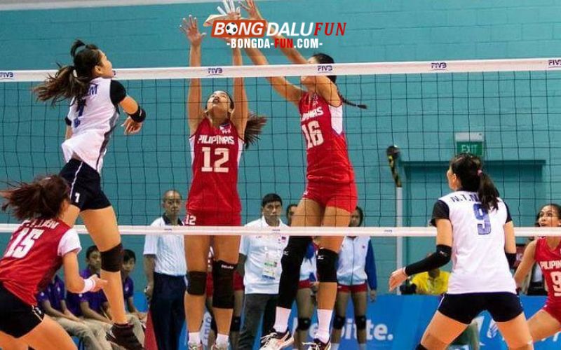 Luật chơi cá cược bóng chuyền