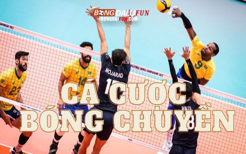 Cá cược bóng chuyền là gì?