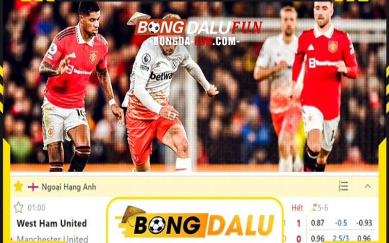 Lợi ích khi chơi cá cược tại nền tảng BongdaLu
