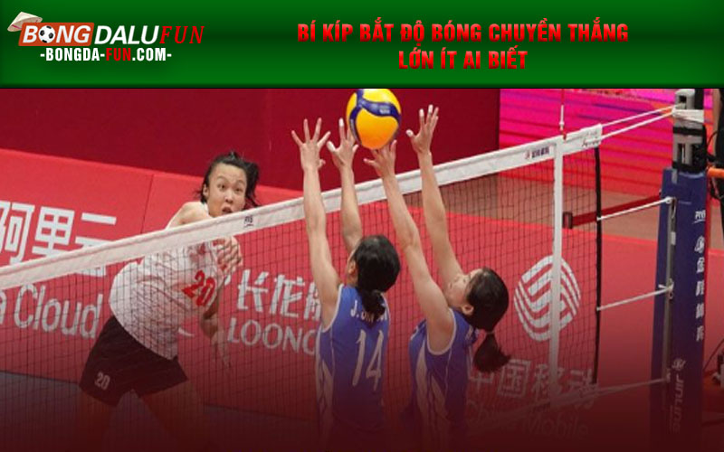 Bí kíp bắt độ bóng chuyền thắng lớn ít ai biết