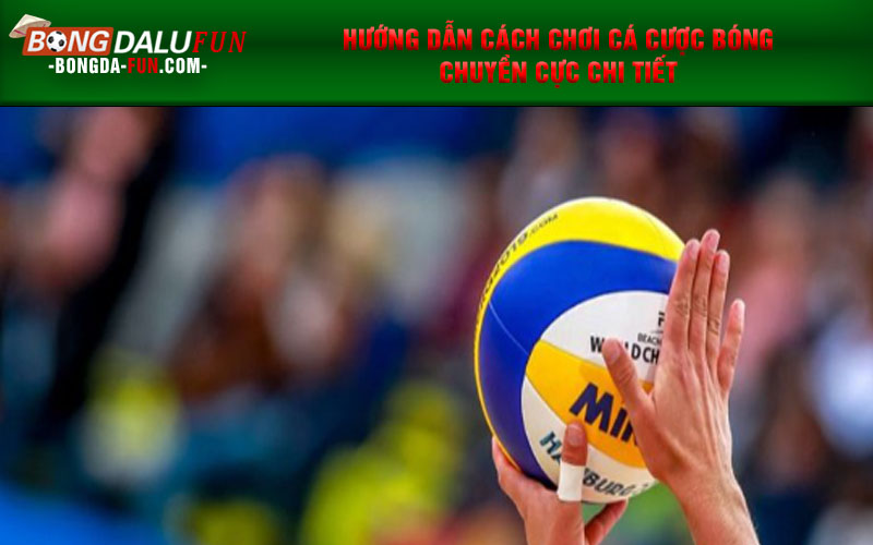 Hướng dẫn cách chơi cá cược bóng chuyền cực chi tiết