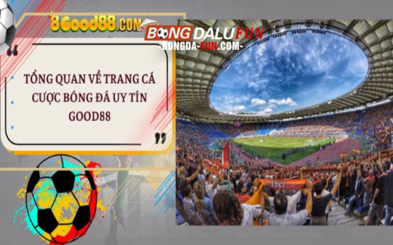 Tổng quan về trang cá cược bóng đá uy tín Good88