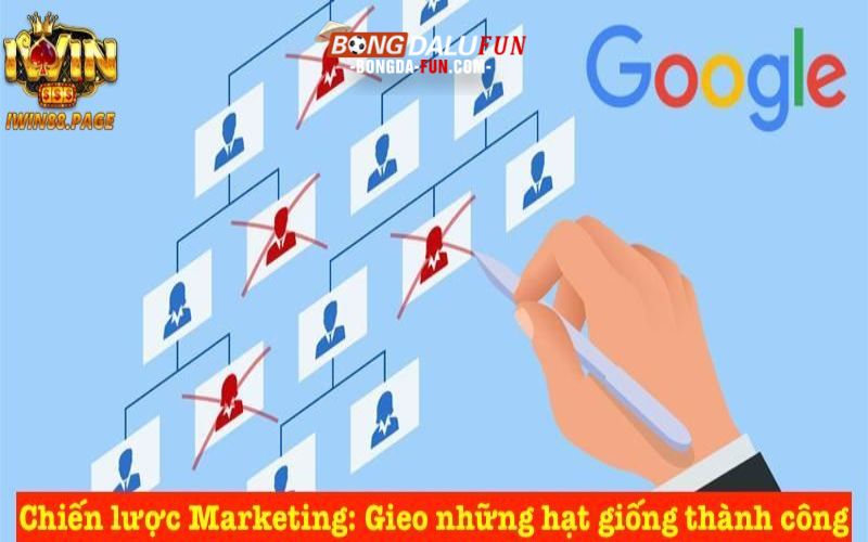 Chiến lược Marketing: Gieo những hạt giống thành công