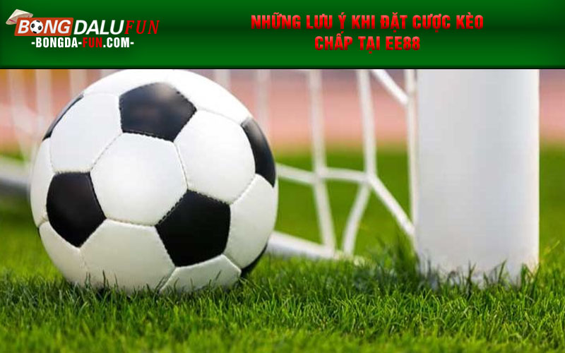 Những lưu ý khi đặt cược kèo chấp tại ee88