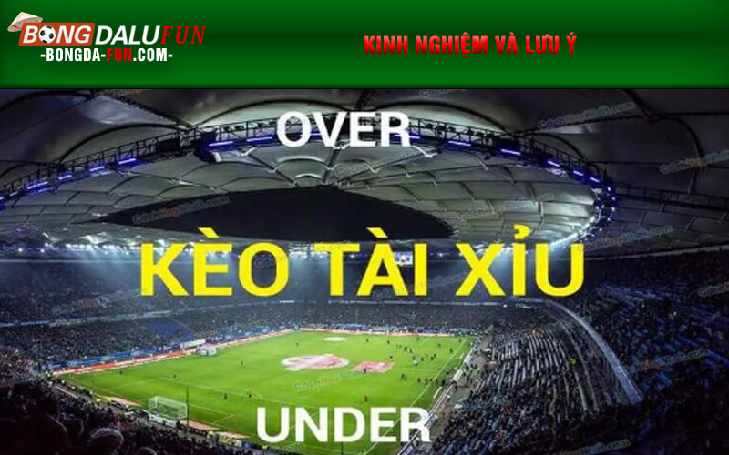 Kinh nghiệm và lưu ý