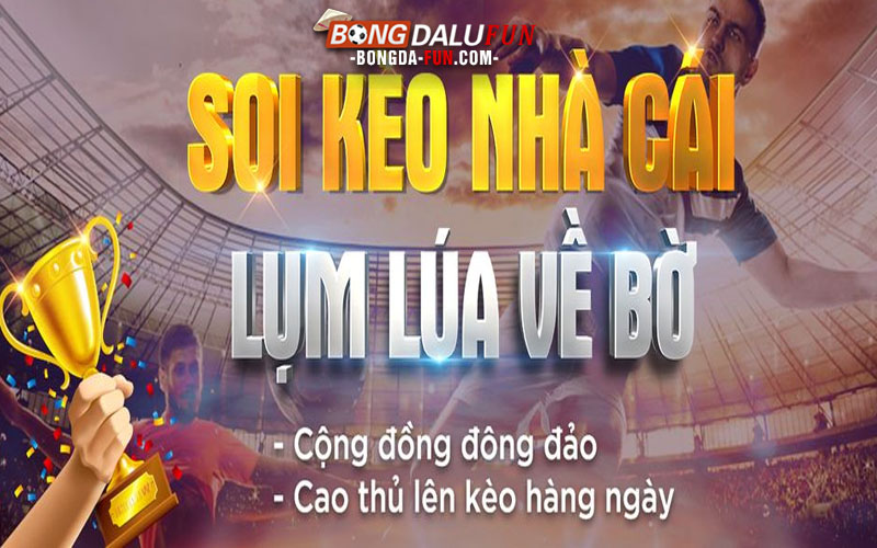 Thế Nào Là Soi Kèo Nhà Cái?