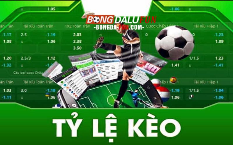Bạn sẽ có lợi thế cá cược gì khi xem kết quả bóng đá tại tylekeo