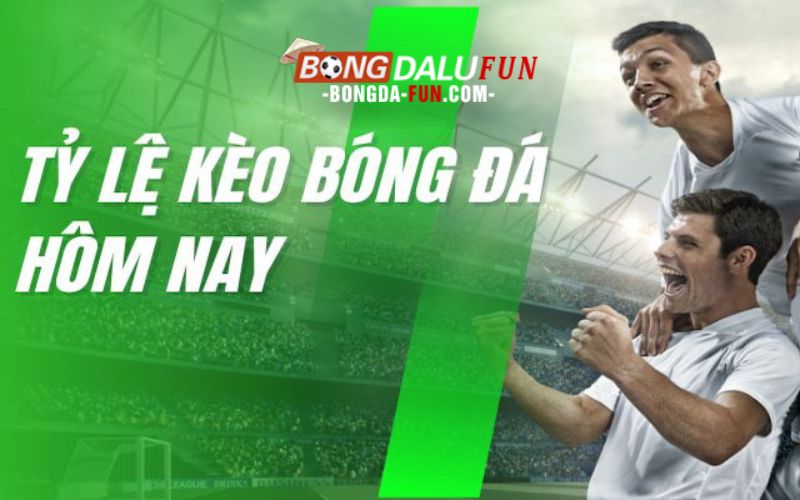 Xem kết quả bóng đá ở tylekeo có nhanh và chính xác không