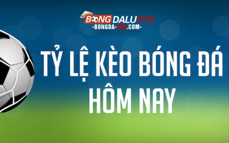 Tại trang chủ tylekeo có những gì