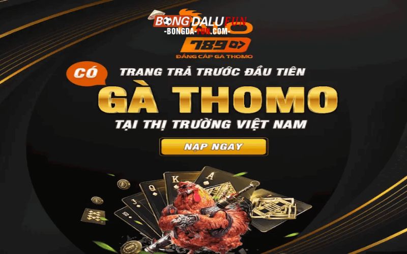 Giới Thiệu Về TK88