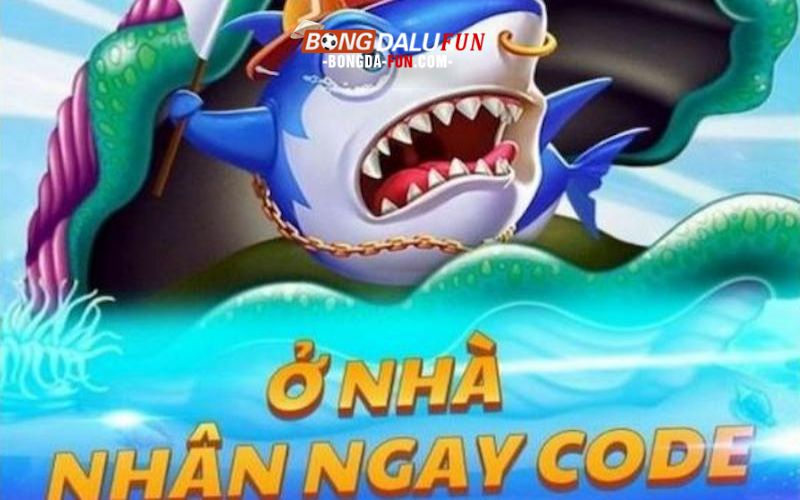 Những lợi ích đặc biệt khi trở thành đại lý Bancah5