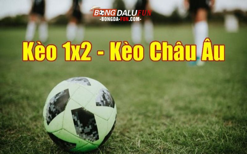 Cách tính tiền thắng thua khi chơi kèo 1x2