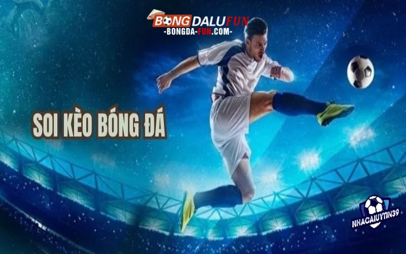 Chuyên mục cập nhật khuyến mãi nhà cái nhanh và chính xác