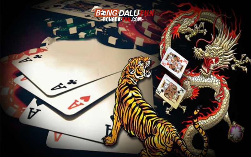 Các Thuật Ngữ Quan Trọng Khi Chơi Rồng Hổ Sin88