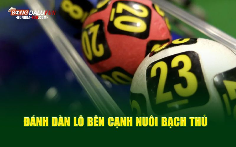 Chiến thuật kết hợp nuôi bạch thủ