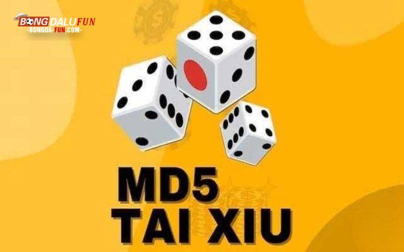 Tìm hiểu chung về Tài xỉu md5 go88