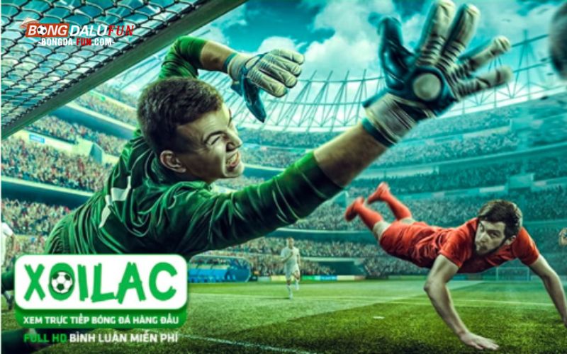 Dịch vụ xem bóng đá trực tiếp tại xoilac