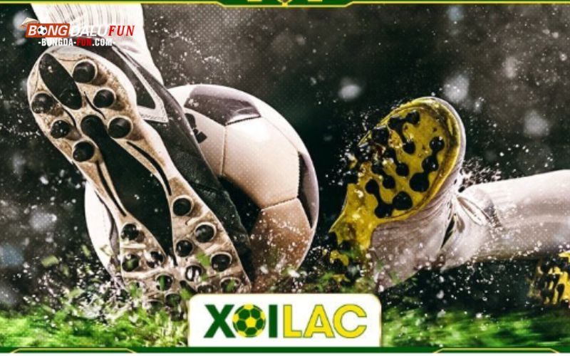 Tham gia vào cộng đồng Xoilac TV: Diễn đàn và mạng xã hội