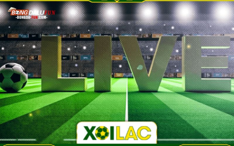 Làm thế nào để tìm trận đấu bạn muốn xem trên Xoilac TV?