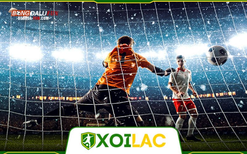 Danh sách giải đấu phổ biến trên Xoilac TV