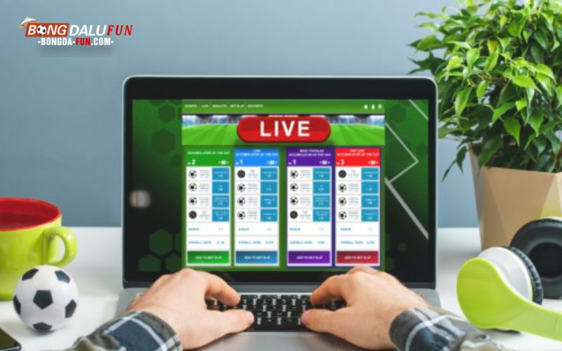 Tra cá cược bóng đá và trúng lớn với nhiều giải đấu gay cấn