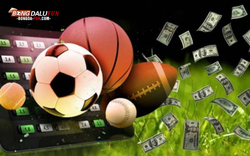 Khái niệm chi tiết về trang cá độ bóng đá