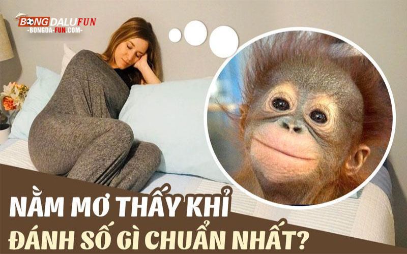 Ngủ mơ thấy người tuổi khỉ đánh con gì?