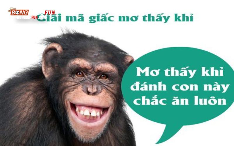 Ý nghĩa ngủ mơ thấy người tuổi khỉ đánh con gì?