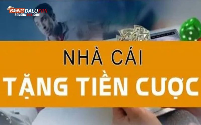 Thông tin sơ lược về nhà cái tặng tiền uy tín đẳng cấp