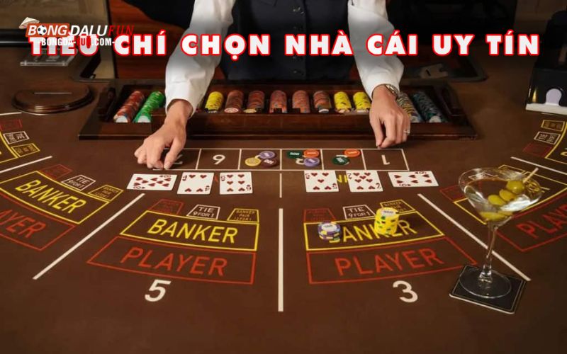 Các tiêu chí cần chú ý khi chọn nhà cái cho người mới