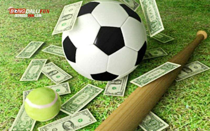 Tổng quan về trang cá độ bóng đá