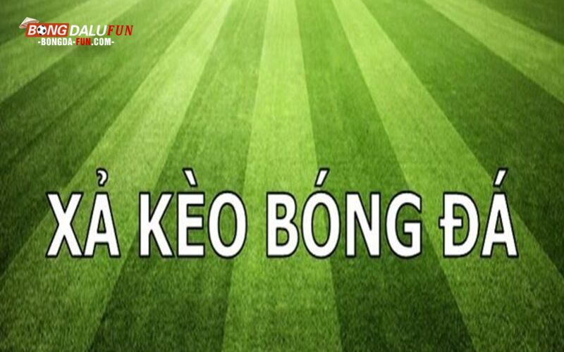 Thông tin chi tiết về xả kèo của Nowgoal