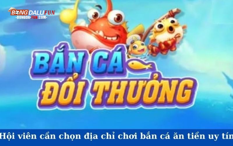 Hội viên cần chọn địa chỉ chơi săn cá ăn tiền uy tín